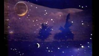 Isaac Delusion ☀ Midnight Sun