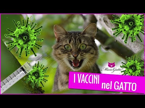 Lyambliya in intestini e trattamento Medicine da vermi primi 10
