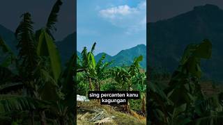 Download lagu Papatah Semar 🙏 #fypシ #papatahsunda #wayanggolek #asepsunandarsunarya #pemandanganindah #shorts mp3 Download lagu Papatah Semar 🙏 #fypシ #papatahsunda #wayanggolek #asepsunandarsunarya #pemandanganindah #shorts mp3