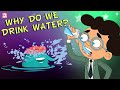 Why Do We Drink Water Importance Of Water Stay Hydrated The Dr Binocs Show Peekaboo Kidz
