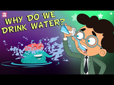 Pourquoi buvons-nous de l'eau? | Importance de l'eau | Restez hydraté | Le spectacle du Dr Binocs | Peekaboo Kidz