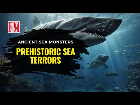 Prehistoric Sea Terrors: 60-Foot Megalodon and 3 Other MASSIVE Ocean Predators Revealed!