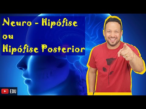 Neurohypophysis or Posterior Pituitary - Hormones and Functions - Endocrine System - Class 4