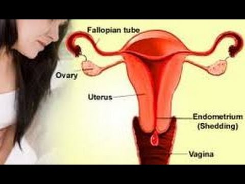 Pembesaran Penis tidak percaya Nama pil potensi