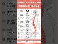 What is Bindu chakra?