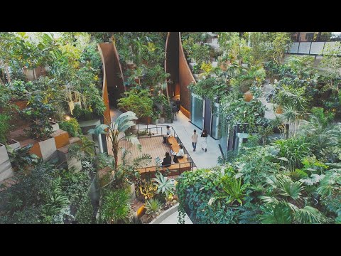 Amazon品川オフィスのご紹介_Amazon Japan Official