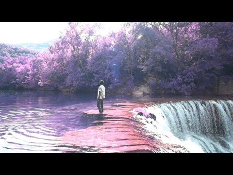 Map’s kartel - W.V.C ( Clip officiel )