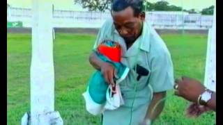 De Eerste Surinaamse vlag - Video Brief Suriname III