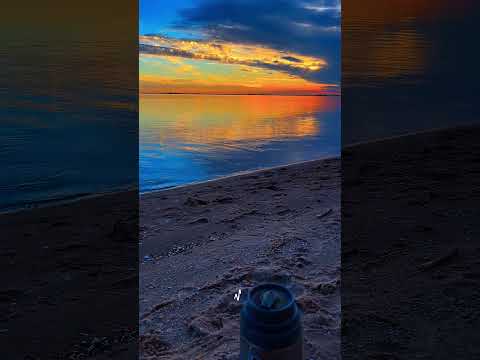 Atardecer en las cañas Fray Bentos Río Negro