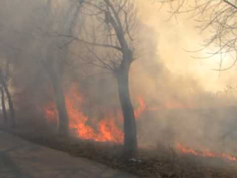 Ştire Etv - Incendiu devastator !  | 13.05.2013