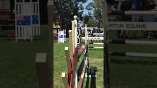 Billy Raymont and Tulara Comet. 5th in 1.25m class