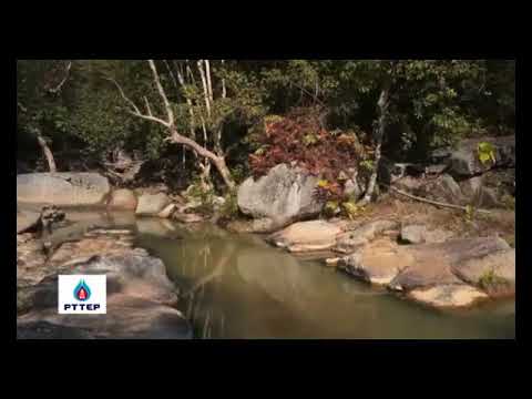 ภาพประกอบ วีดิทัศน์