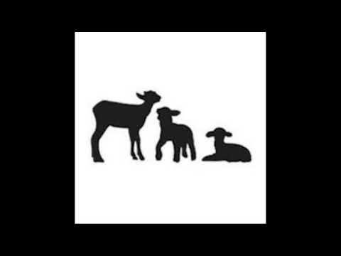 The Brioso Trio - Longs Summer Mix