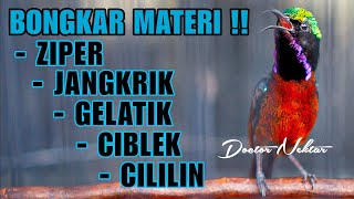Download lagu BONGKAR MATERI ! KONIN GACOR FULL ISIAN ZIPER-JANGKRIK-GELATIK-CIBLEK-CILILIN COCOK BUAT MASTERAN mp3