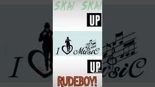 kkk Hiway MU330 Mandolin Cover