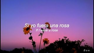 Sunflower // Sierra Burgess  (Lyrics // Letras en Español).