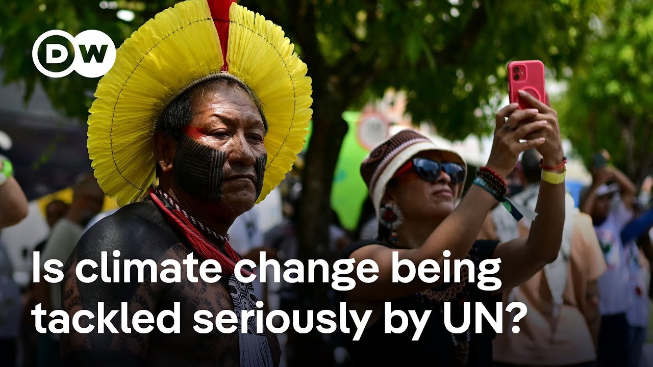 Are climate protesters having any affect on UN climate talks in Brazil? | DW News