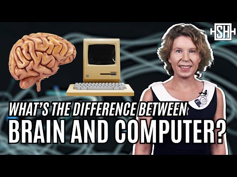 Is the brain a computer?