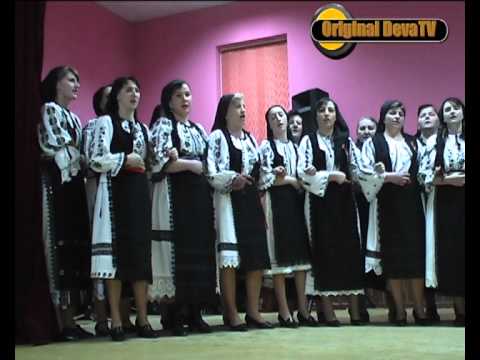 Ansamblul Ritmuri Zarandene grup mixt