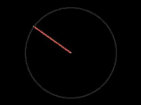 Radíusfluga - Sumarást