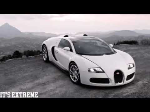 Skunk & F O X   B A S S Bass Boosted