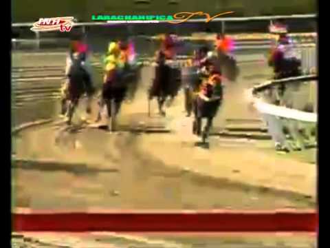 LA RINCONADA 8 CARRERA DOMINGO 08 DE FEBRERO DEL 2015