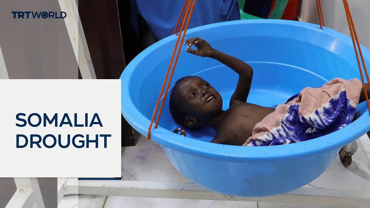 Somalia faces drought as Middle East war chokes aid