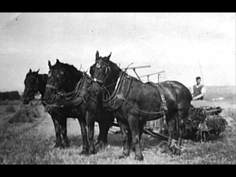 Singing Postman - Following The Boinder Round.wmv