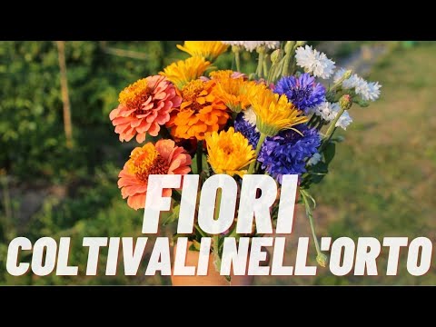 , title : 'ECCO PERCHE TUTTI DOVREBBERO COLTIVARE I FIORI NELL'ORTO!'