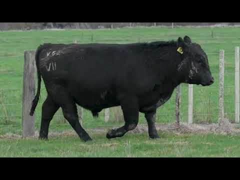 Lot 8  SEVEN HILLS V53 PV