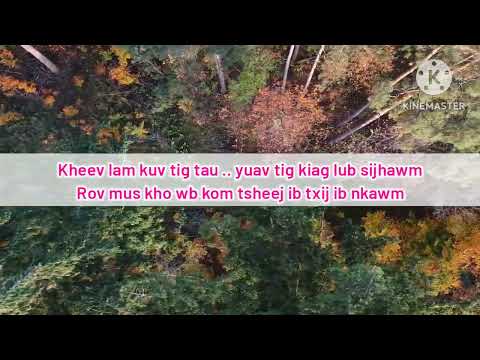 Rov Pom Koj Dua - Maa Vue & David Yang