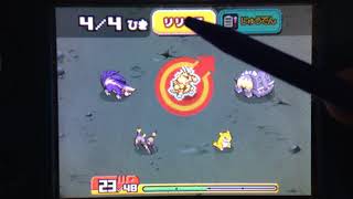 実況ポケモンレンジャー♯28