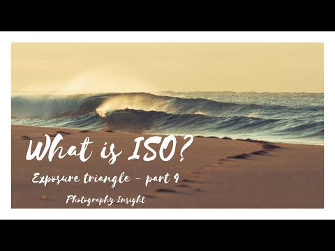Exposure Triangle Part 4 // ISO