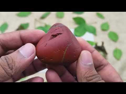 Shiv Shila Stone for Family Harmony video