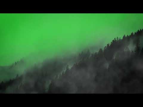 Mircea Damian - Daca bate vantul