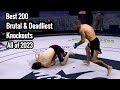 Best 200 Brutal & Deadliest Knockouts all of 2023 , MMA ,Boxing,