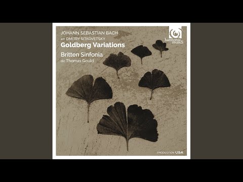 Goldberg Variations: Variation 29
