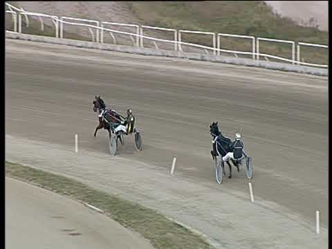 Trotto 31/12/2018 - prova di qualifica