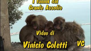 Viaje/Viagem 20 - Gibraltar