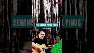 Download lagu SENANDUNG PUCUK PINUS Ebiet G Ade mp3 Download lagu SENANDUNG PUCUK PINUS Ebiet G Ade mp3