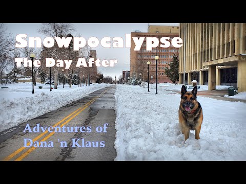 Snowpocalypse 2021 - The Morning After