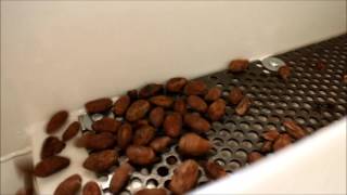 Vibrating Screen Feeder Separating Cocoa Beans - Applied Vibration Ltd