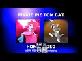 Pinkie Pie Tom Cat Home Video ID 2021