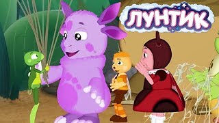 Лунтик Новый Год Новые Серии Подряд Лунтик Новый Год Новые Серии Подряд