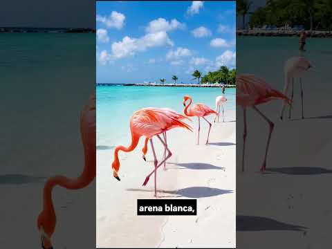 EL PEDRAPLÉN DE CIEGO DE ÁVILA QUE NOS UNE CON CAYO COCO Y CAYÓ GUILLERMO #viral #viralvideo #cuba