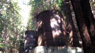 preview picture of video 'Easy hike in Limekiln State Park Big Sur California'