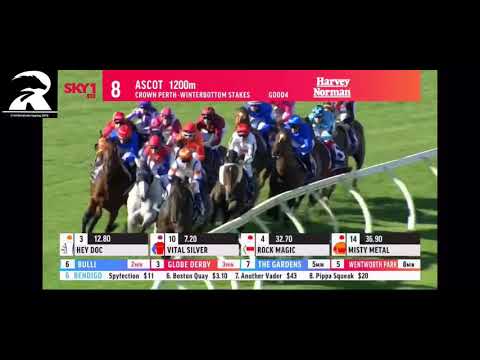 2019 winterbottom stakes replay