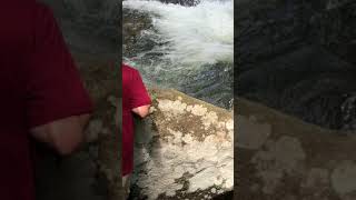 Matthew in the Middle