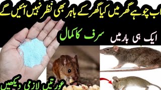 Quick rat killer | Rat killer | rat trap | rat poision | hommade rat killer | rat killer #viral