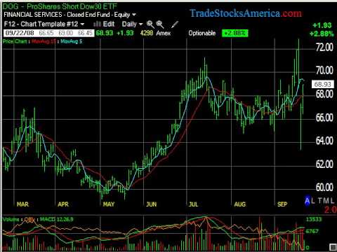 September 22nd Daily Stock Report with Stock Picks